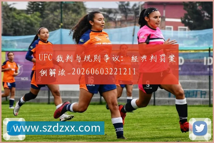 UFC 裁判与规则争议：经典判罚案例解读_20260603221211